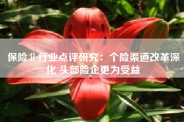 保险Ⅱ行业点评研究：个险渠道改革深化 头部险企更为受益