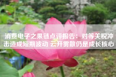 消费电子之果链点评报告：对等关税冲击造成短期波动 云开雾散仍是成长核心