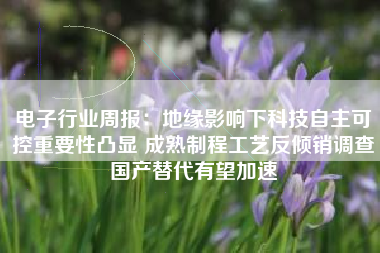 电子行业周报：地缘影响下科技自主可控重要性凸显 成熟制程工艺反倾销调查国产替代有望加速