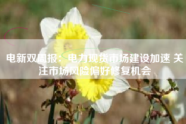 电新双周报：电力现货市场建设加速 关注市场风险偏好修复机会