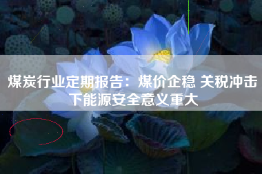 煤炭行业定期报告：煤价企稳 关税冲击下能源安全意义重大