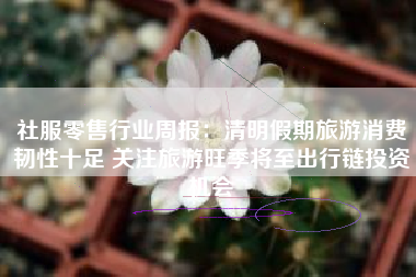 社服零售行业周报：清明假期旅游消费韧性十足 关注旅游旺季将至出行链投资机会
