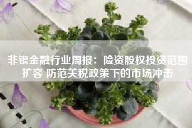 非银金融行业周报：险资股权投资范围扩容 防范关税政策下的市场冲击