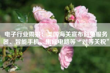 电子行业周报：美国海关宣布豁免服务器、智能手机、集成电路等“对等关税”