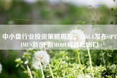 中小盘行业投资策略周报：TESLA发布OPTIMUS新图 新MODELY首批出口
