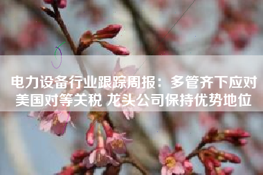 电力设备行业跟踪周报：多管齐下应对美国对等关税 龙头公司保持优势地位