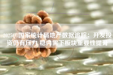 2025Q1国家统计局地产数据追踪：开发投资仍有压力 稳内需下板块重要性提升