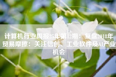 计算机行业周报25年第12期：复盘2018年贸易摩擦：关注信创、工业软件及AI产业机会