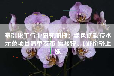 基础化工行业研究周报：绿色低碳技术示范项目清单发布 硫酸铵、DMF价格上涨