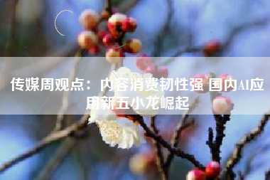 传媒周观点：内容消费韧性强 国内AI应用新五小龙崛起