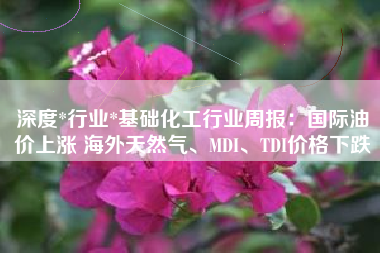 深度*行业*基础化工行业周报：国际油价上涨 海外天然气、MDI、TDI价格下跌