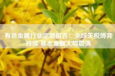 有色金属行业定期报告：全球关税博弈持续 基本金属大幅震荡