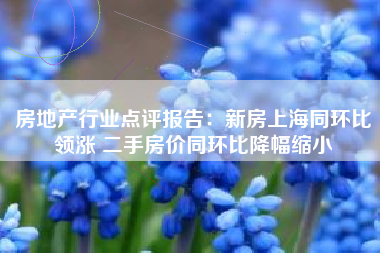 房地产行业点评报告：新房上海同环比领涨 二手房价同环比降幅缩小