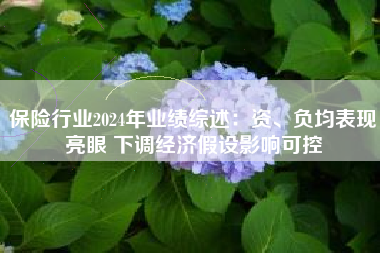 保险行业2024年业绩综述：资、负均表现亮眼 下调经济假设影响可控