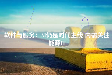 软件与服务：AI仍是时代主线 内需关注能源IT
