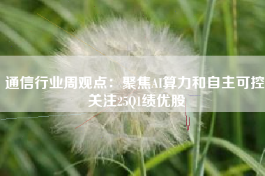通信行业周观点：聚焦AI算力和自主可控 关注25Q1绩优股