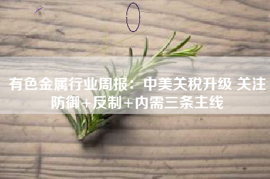 有色金属行业周报：中美关税升级 关注防御+反制+内需三条主线