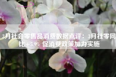 3月社会零售品消费数据点评：3月社零同比+5.9% 促消费政策加力实施
