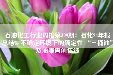 石油化工行业周报第399期：石化24年报总结：不确定环境下的确定性 “三桶油”及油服再创佳绩