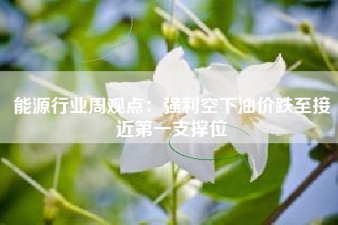 能源行业周观点：强利空下油价跌至接近第一支撑位