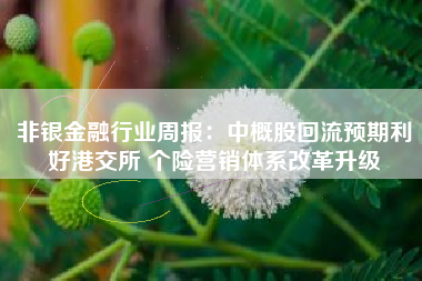 非银金融行业周报：中概股回流预期利好港交所 个险营销体系改革升级