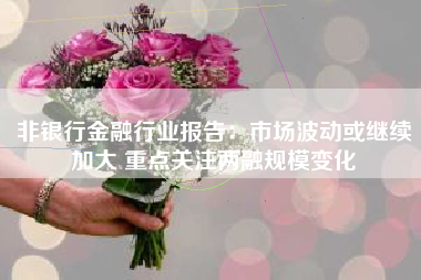 非银行金融行业报告：市场波动或继续加大 重点关注两融规模变化