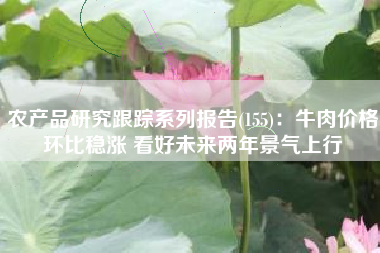 农产品研究跟踪系列报告(155)：牛肉价格环比稳涨 看好未来两年景气上行