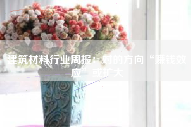 建筑材料行业周报：对的方向“赚钱效应”或扩大