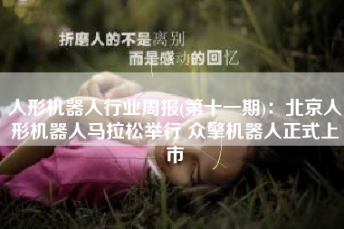人形机器人行业周报(第十一期)：北京人形机器人马拉松举行 众擎机器人正式上市