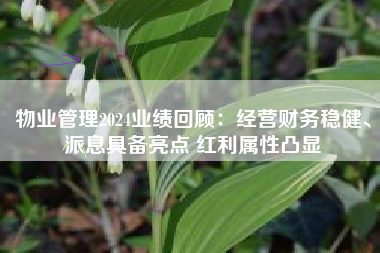 物业管理2024业绩回顾：经营财务稳健、派息具备亮点 红利属性凸显