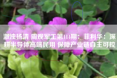 激浊扬清 周观军工第114期：菲利华：深耕半导体高端民用 保障产业链自主可控