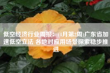 低空经济行业周报：(4月第2周)广东省加速低空立法 各地对应用场景探索稳步推进