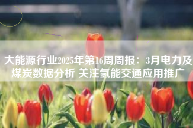 大能源行业2025年第16周周报：3月电力及煤炭数据分析 关注氢能交通应用推广