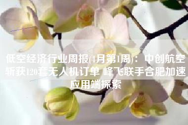 低空经济行业周报(4月第1周)：中创航空斩获120套无人机订单 峰飞联手合肥加速应用端探索