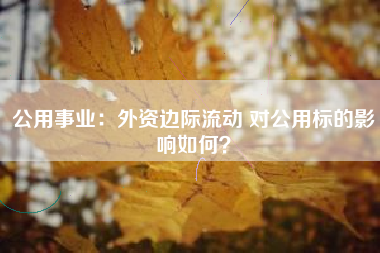 公用事业：外资边际流动 对公用标的影响如何？