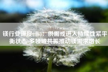 镁行业深度(Ⅱ)：供需或进入持续性紧平衡状态-多领域共振推动镁需求增长