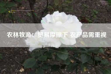 农林牧渔：贸易摩擦下 农产品需重视