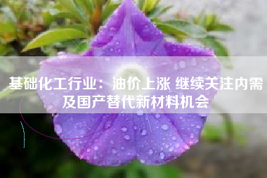 基础化工行业：油价上涨 继续关注内需及国产替代新材料机会