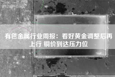 有色金属行业周报：看好黄金调整后再上行 铜价到达压力位