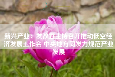 新兴产业：发改委主持召开推动低空经济发展工作会 中央地方同发力规范产业发展
