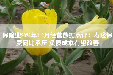 保险业2025年1-2月经营数据点评：寿险保费同比承压 负债成本有望改善