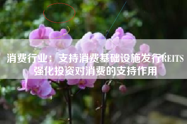消费行业:支持消费基础设施发行REITS强化投资对消费的支持作用 消费行业:支持消费基础设施发行REITS强化投资对消费的支持作用