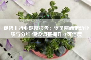 保险Ⅱ行业深度报告：资负两端驱动业绩与分红 假设调整提升EV可信度