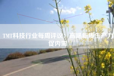 TMT科技行业每周评议：高端新质生产力促内需