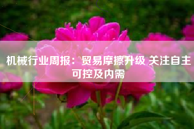 机械行业周报：贸易摩擦升级 关注自主可控及内需