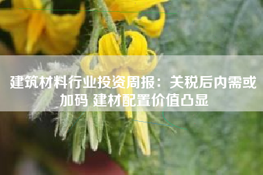 建筑材料行业投资周报：关税后内需或加码 建材配置价值凸显