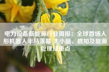 电力设备新能源行业周报：全球首场人形机器人半马落幕 大小脑、感知及能源管理成重点
