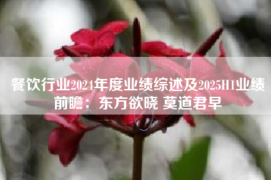 餐饮行业2024年度业绩综述及2025H1业绩前瞻：东方欲晓 莫道君早