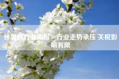 计算机行业周报：行业走势承压 关税影响有限