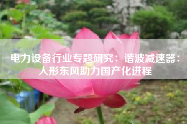 电力设备行业专题研究：谐波减速器：人形东风助力国产化进程